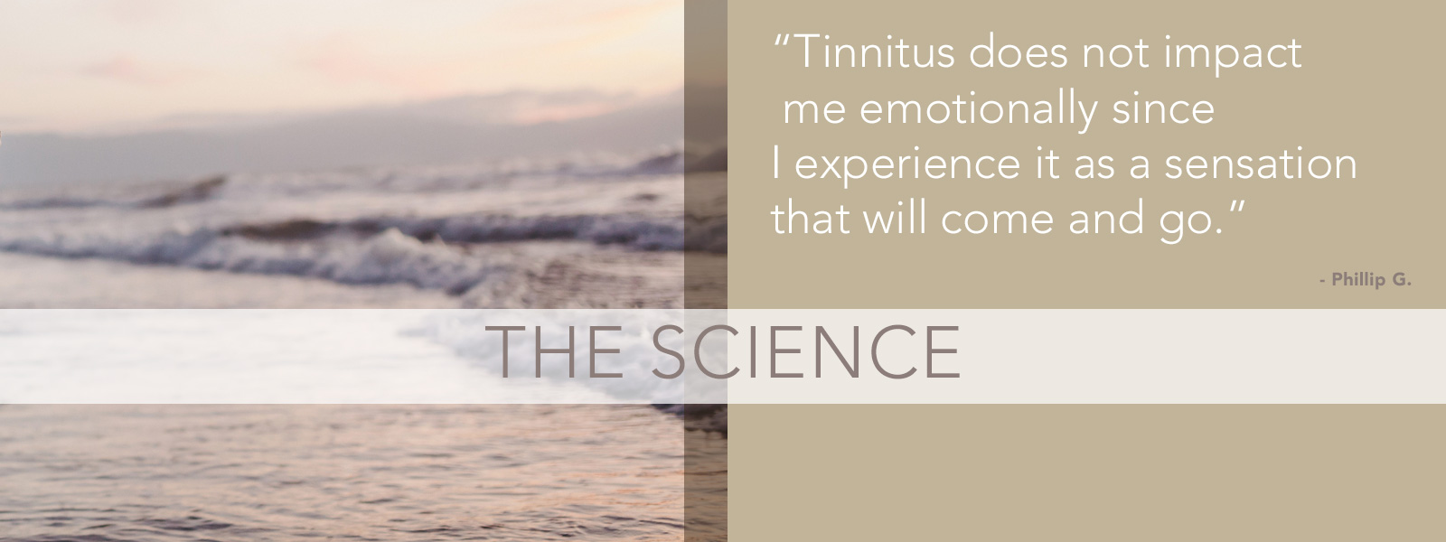 Mindfulness-Based Tinnitus Stress Reduction